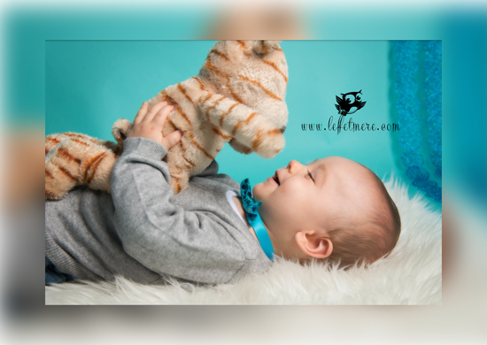 Photographe Montauban