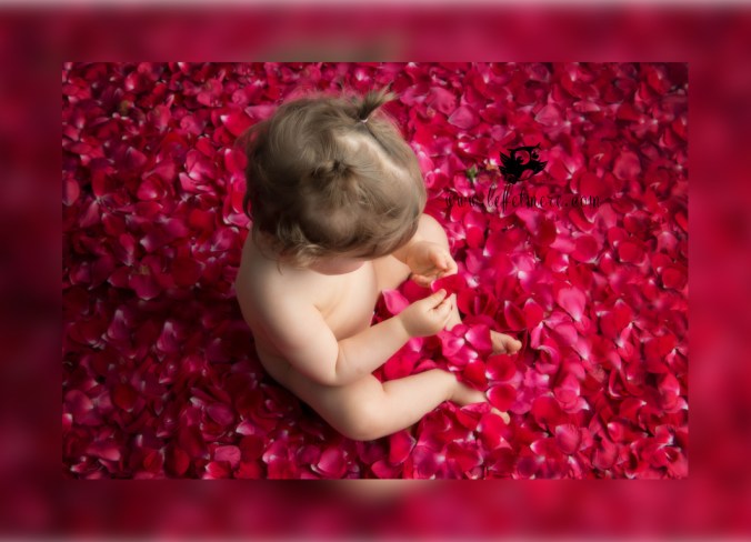 Photographe montauban