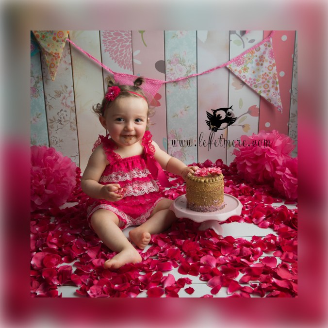 Photographe montauban