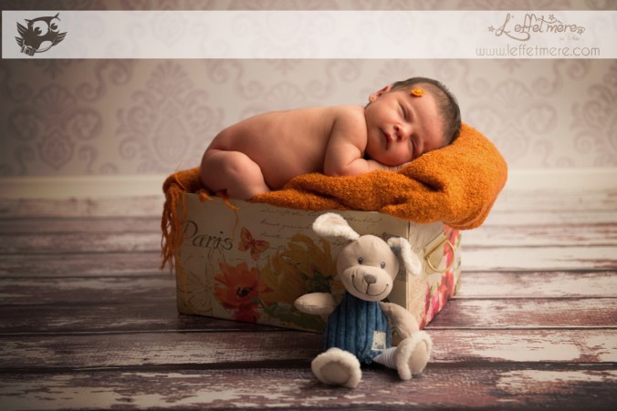 Photographe Montauban