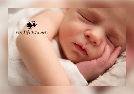 Photographe Montauban