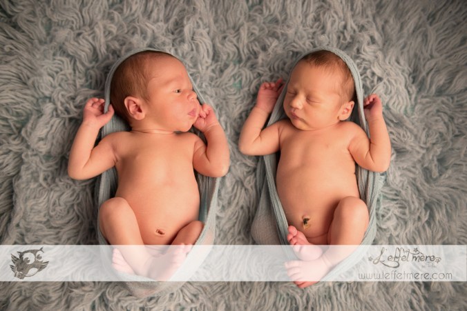 Photographe montauban