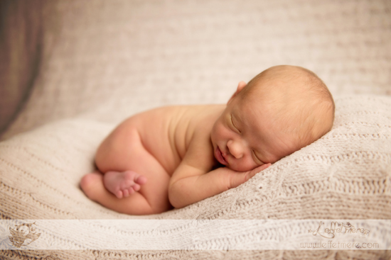 Photographe Montauban