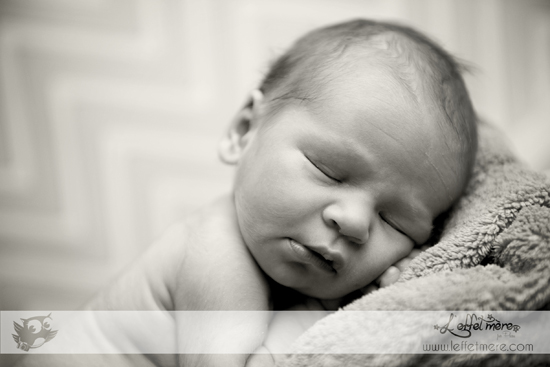 Photographe Montauban