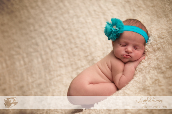 Photographe Montauban