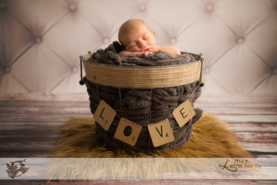 Photographe Montauban