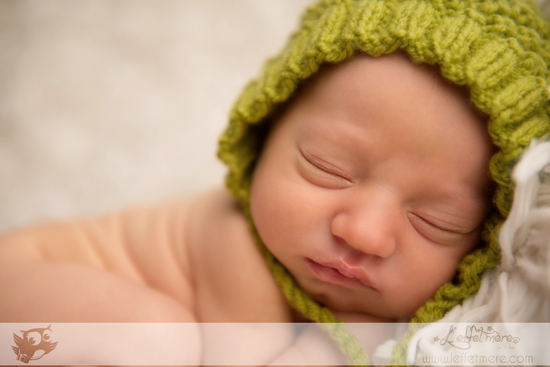 Photographe Montauban