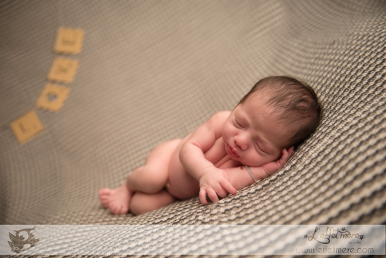 Photographe Montauban