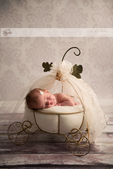 Photographe Montauban