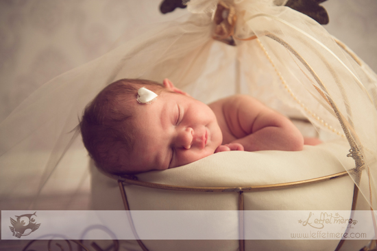 Photographe Montauban