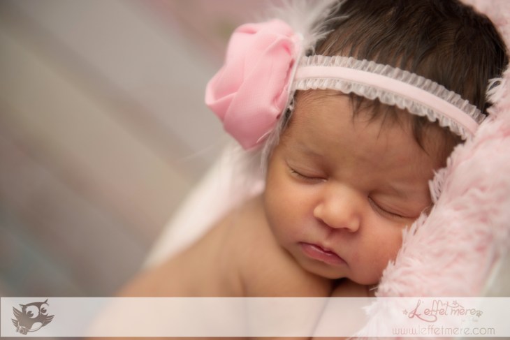 Photographe Montauban