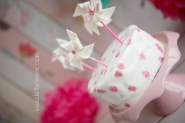 Photographe Montauban