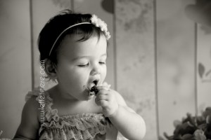 Photographe Montauban