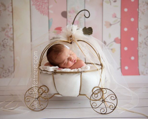 Photographe Montauban