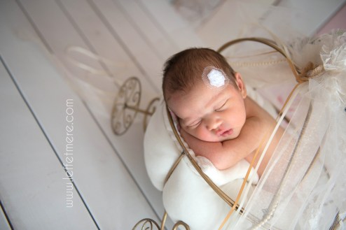 Photographe Montauban