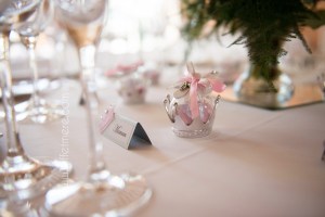 Photographe montauban