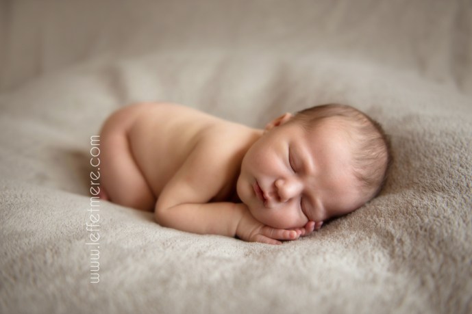 Photographe Montauban