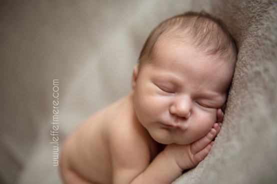 Photographe Montauban