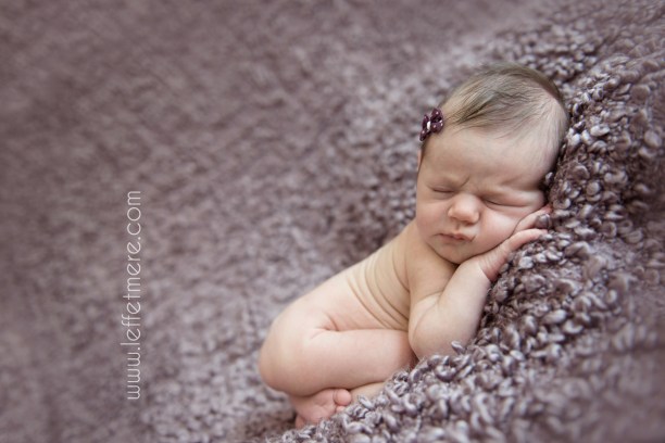 Photographe Montauban