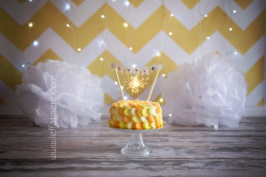 Photographe Montauban