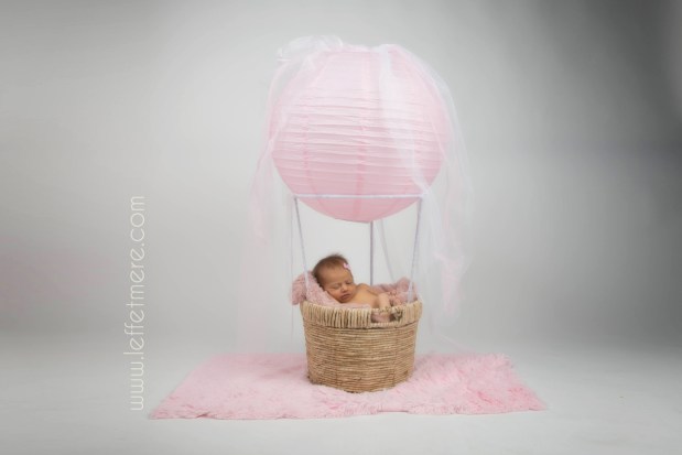 Photographe Montauban