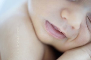 Photographe Montauban