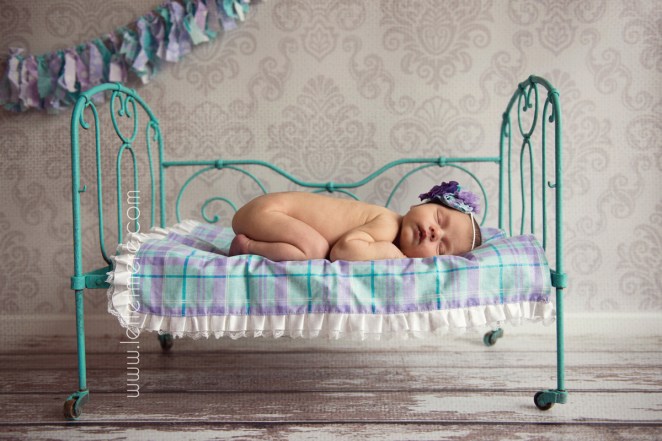 Photographe montauban