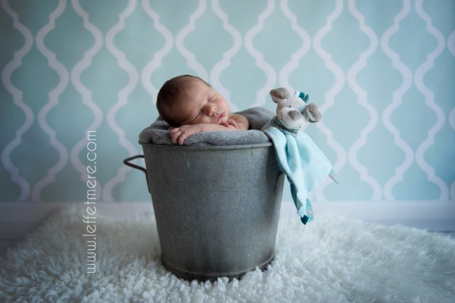 Photographe Montauban