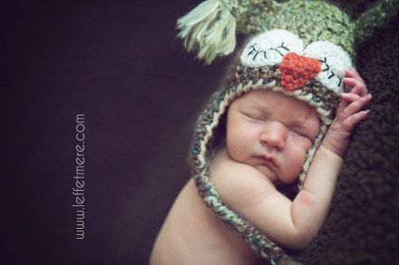 Photographe Montauban