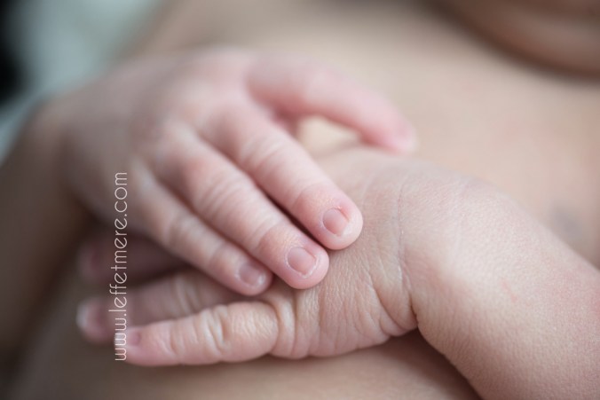photographe bébé montauban